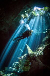 Cenote light. A great add on to an Isle Mujeres Whaleshar... by Steven Miller 